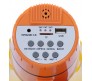 Мегафон ручной РМ-10СЗП запись 4 минуты, MP3, аккумулятор сирена 20 Ватт